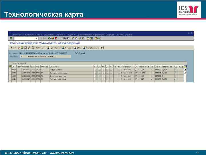 Технологическая карта © IDS Scheer Россия и страны СНГ www. ids-scheer. com 12 