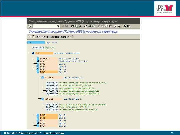 © IDS Scheer Россия и страны СНГ www. ids-scheer. com 7 