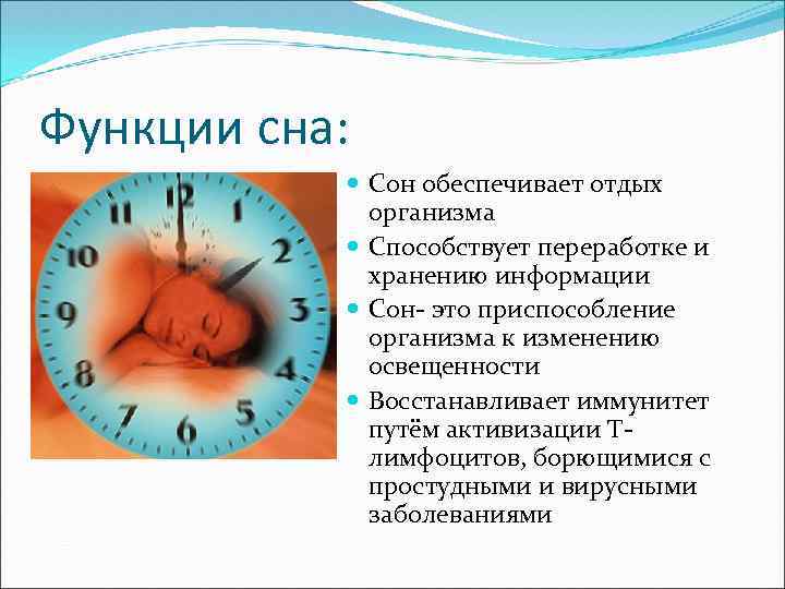 Функции сна: Сон обеспечивает отдых организма Способствует переработке и хранению информации Сон- это приспособление