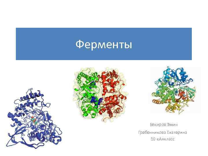 Ферменты презентация по биологии 10 класс