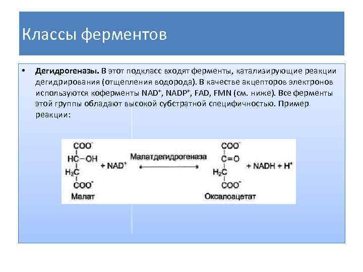 Особенности реакций ферментов. Дегидрогеназы класс ферментов. Классы ферментов и реакции. Ферменты примеры. Ферменты катализируют.