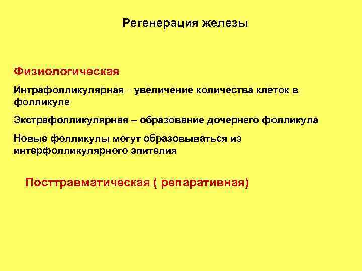 Регенерация железы Физиологическая Интрафолликулярная – увеличение количества клеток в фолликуле Экстрафолликулярная – образование дочернего