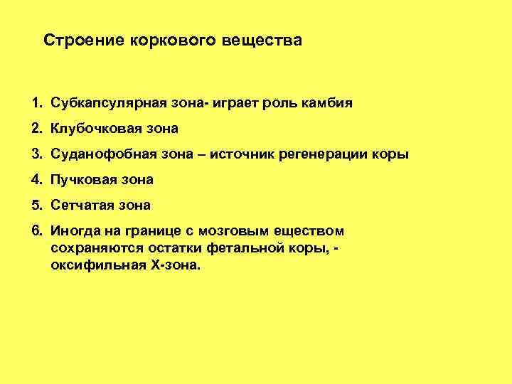 Строение коркового вещества 1. Субкапсулярная зона- играет роль камбия 2. Клубочковая зона 3. Суданофобная