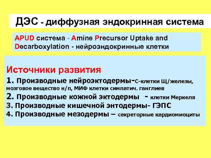 ДЭС - диффузная эндокринная система APUD система - Amine Precursor Uptake and Decarboxylation -