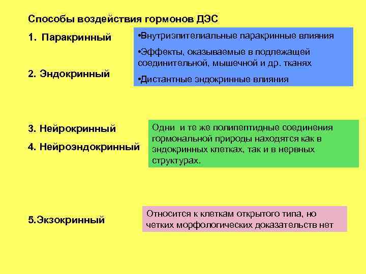 Способы воздействия гормонов ДЭС 1. Паракринный • Внутриэпителиальные паракринные влияния • Эффекты, оказываемые в
