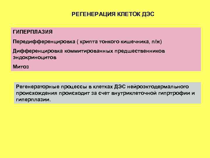 РЕГЕНЕРАЦИЯ КЛЕТОК ДЭС ГИПЕРПЛАЗИЯ Передифференцировка ( крипта тонкого кишечника, п/ж) Дифференцировка коммитированных предшественников эндокриноцитов