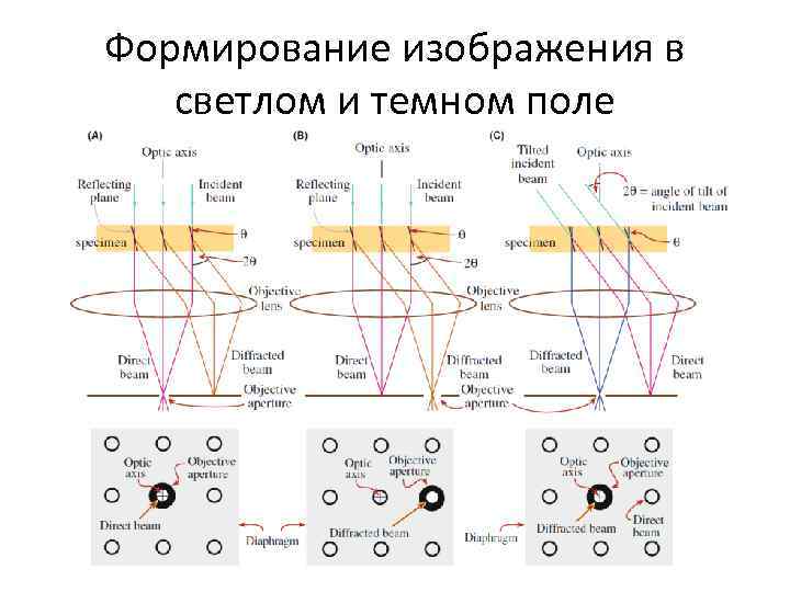 Формирование изображения в светлом и темном поле 