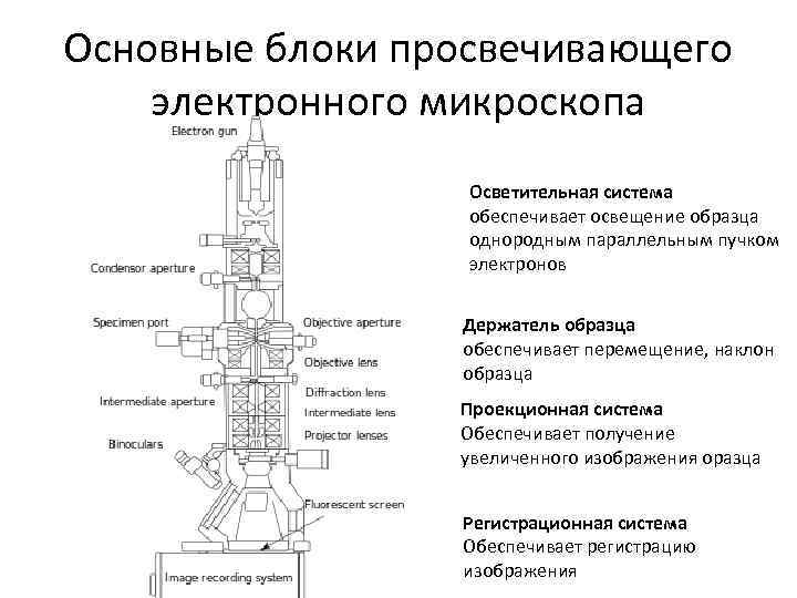 Отличительной характеристикой электронного микроскопа является