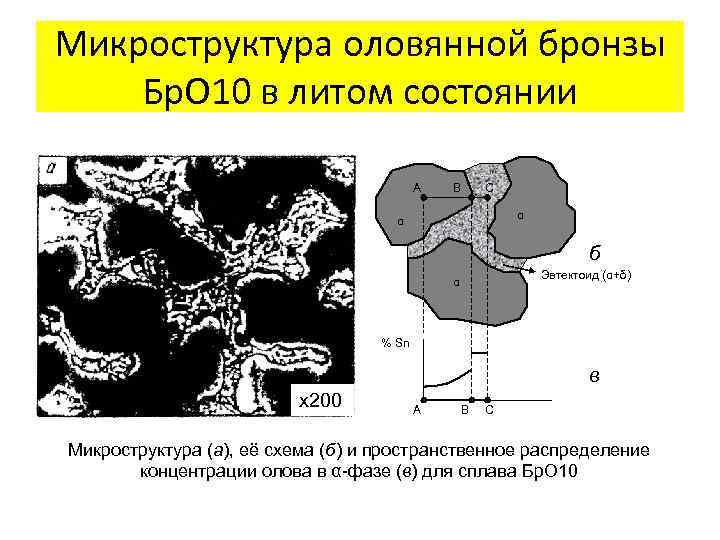 Микроструктура оловянной бронзы Бр. О 10 в литом состоянии А В С α α