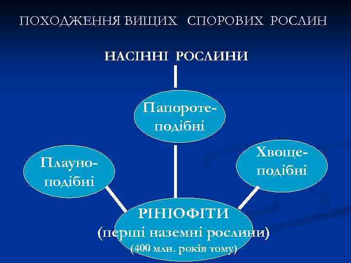 ПОХОДЖЕННЯ ВИЩИХ СПОРОВИХ РОСЛИН НАСІННІ РОСЛИНИ Папоротеподібні Хвощеподібні Плауноподібні РІНІОФІТИ (перші наземні рослини) (400