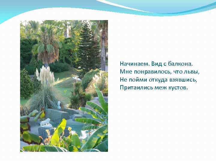 Начинаем. Вид с балкона. Мне понравилось, что львы, Не пойми откуда взявшись, Притаились меж