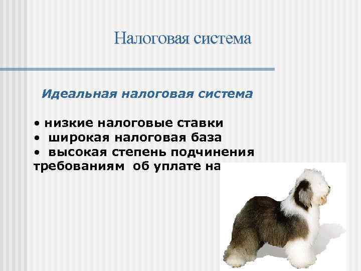 Налоговая система Идеальная налоговая система • низкие налоговые ставки • широкая налоговая база •