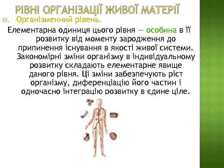 Організменний рівень. Елементарна одиниця цього рівня — особина в її розвитку від моменту зародження