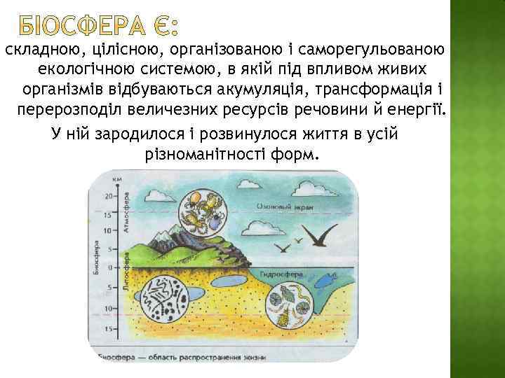 складною, цілісною, організованою і саморегульованою екологічною системою, в якій під впливом живих організмів відбуваються