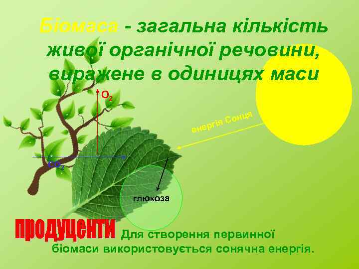 Біомаса - загальна кількість живої органічної речовини, виражене в одиницях маси О 2 я