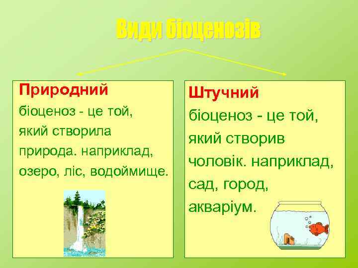 Природний біоценоз - це той, який створила природа. наприклад, озеро, ліс, водоймище. Штучний біоценоз