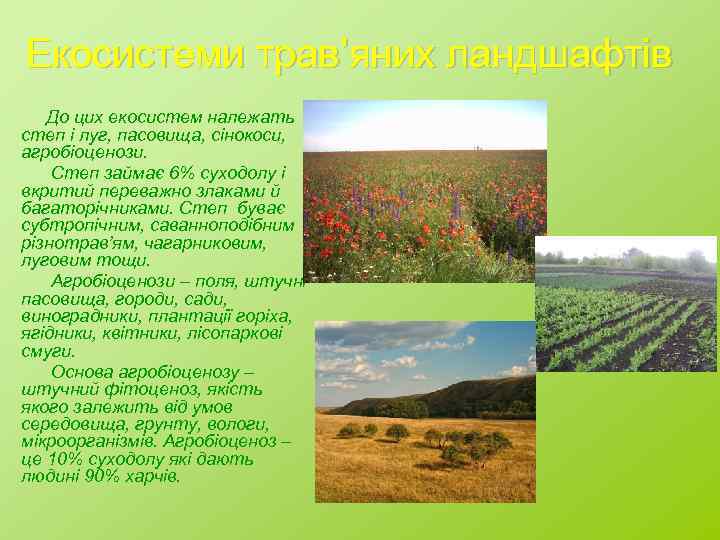 Екосистеми трав’яних ландшафтів До цих екосистем належать степ і луг, пасовища, сінокоси, агробіоценози. Степ