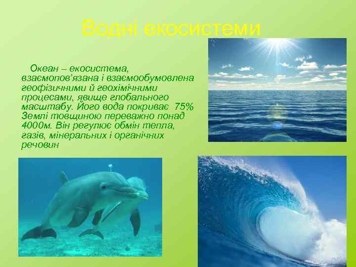 Водні екосистеми Океан – екосистема, взаємопов’язана і взаємообумовлена геофізичними й геохімічними процесами, явище глобального