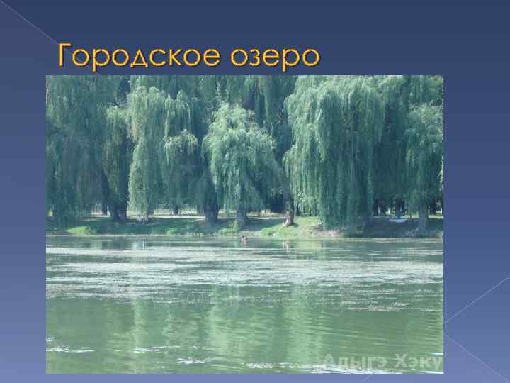 Городское озеро 