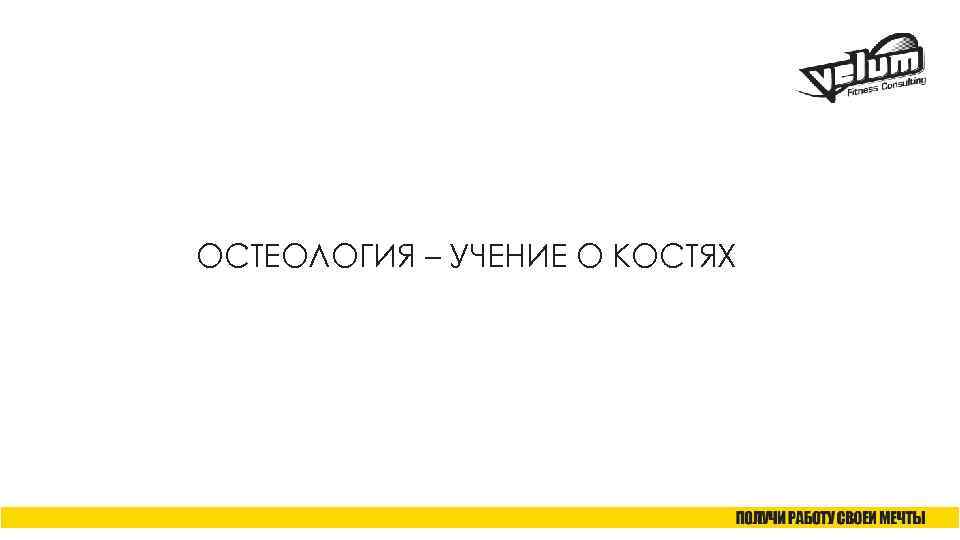 ОСТЕОЛОГИЯ – УЧЕНИЕ О КОСТЯХ 