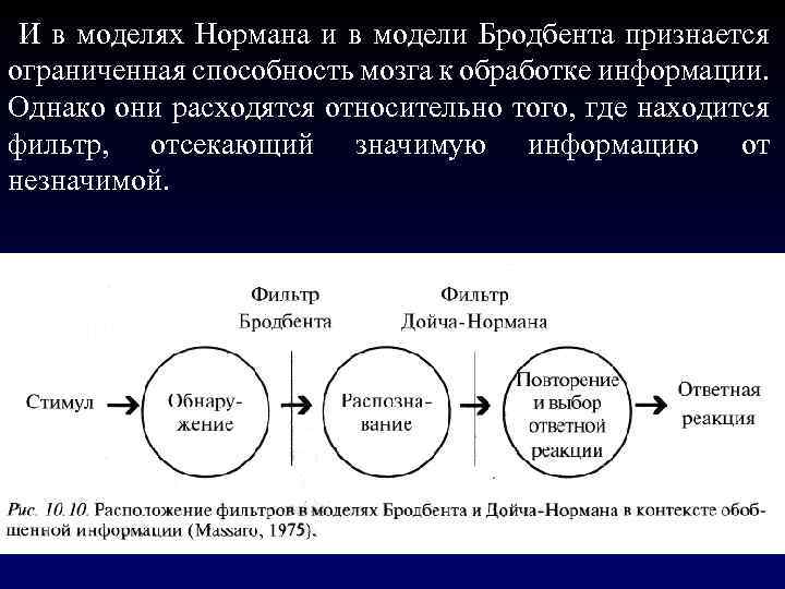  И в моделях Нормана и в модели Бродбента признается ограниченная способность мозга к