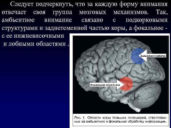 Нейрофизиологические механизмы внимания презентация