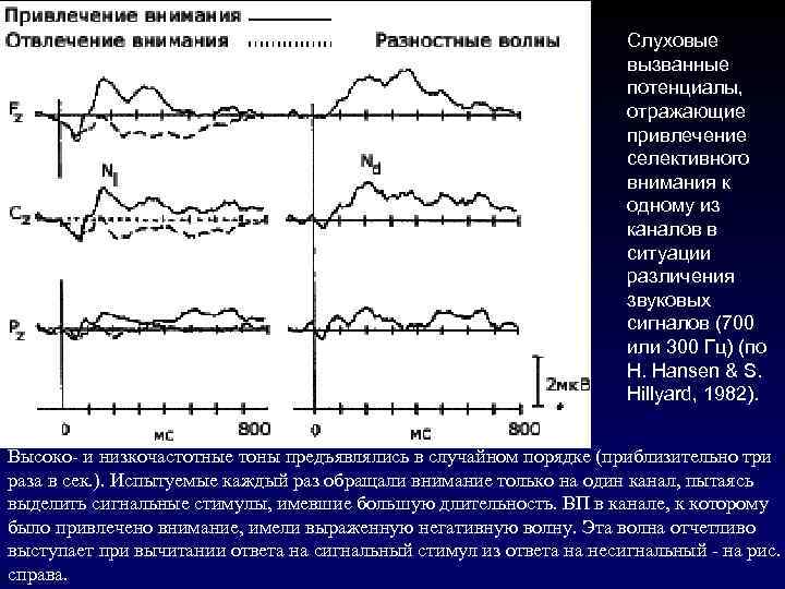 Слуховые вызванные потенциалы, отражающие привлечение селективного внимания к одному из каналов в ситуации различения