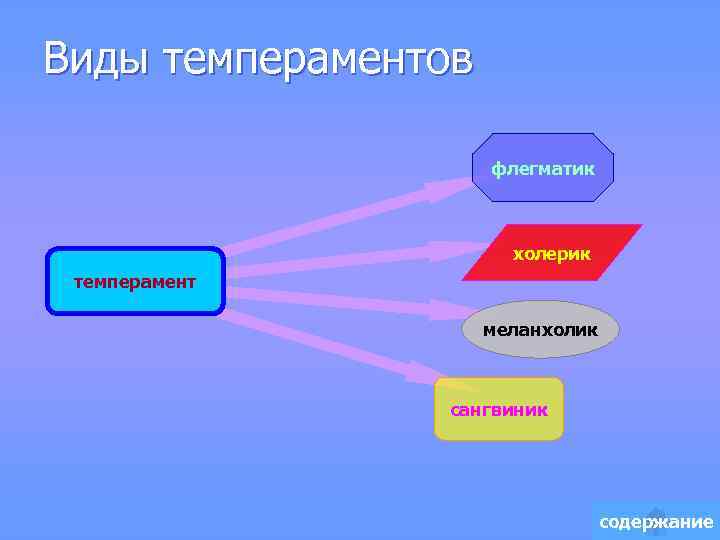 Виды темпераментов флегматик холерик темперамент меланхолик сангвиник содержание 