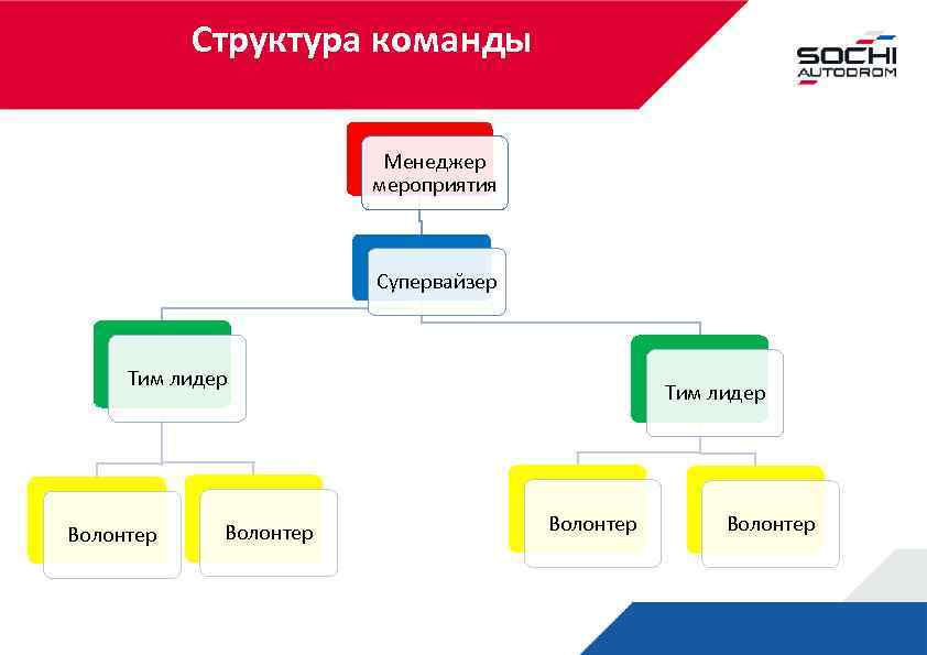 Структура команды. Структуризация команды. Строение команды. Функции тим лидера волонтеров.