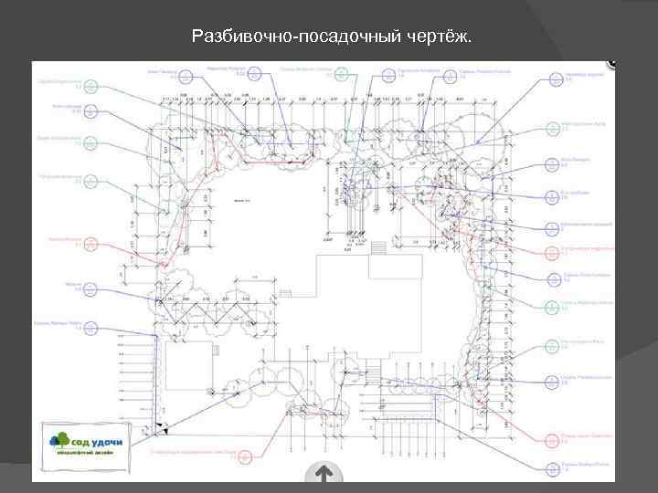 Разбивочный и посадочный чертеж