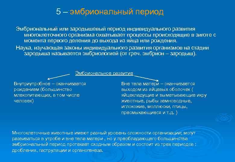 5 – эмбриональный период Эмбриональный или зародышевый период индивидуального развития многоклеточного организма охватывает процессы