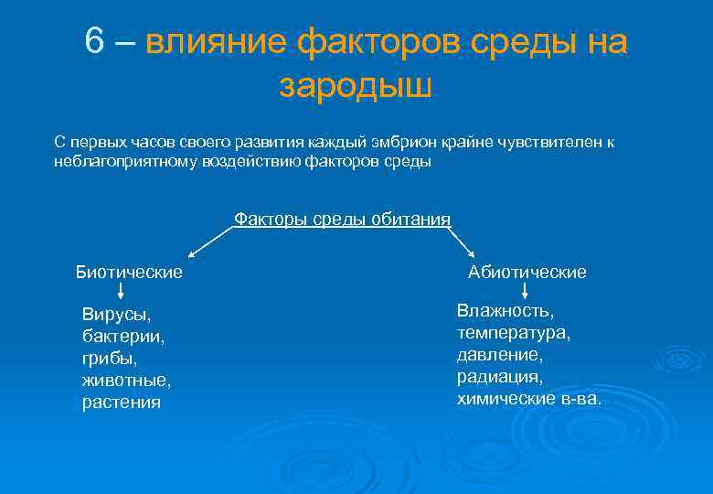 6 – влияние факторов среды на зародыш С первых часов своего развития каждый эмбрион