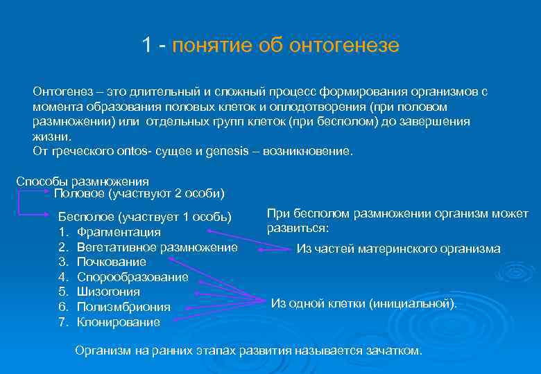 1 - понятие об онтогенезе Онтогенез – это длительный и сложный процесс формирования организмов