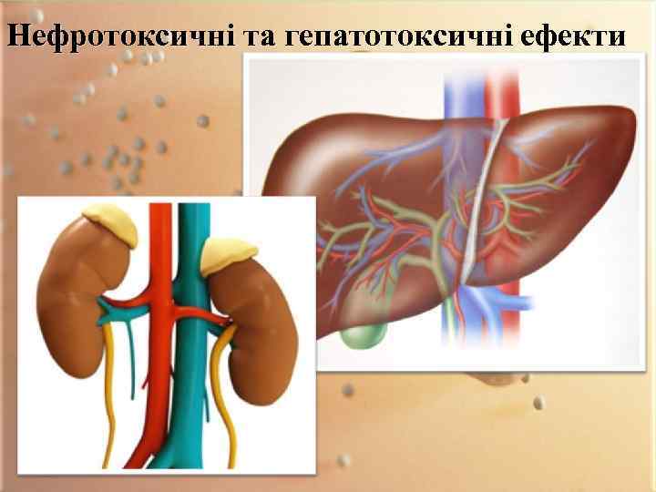 Нефротоксичні та гепатотоксичні ефекти 