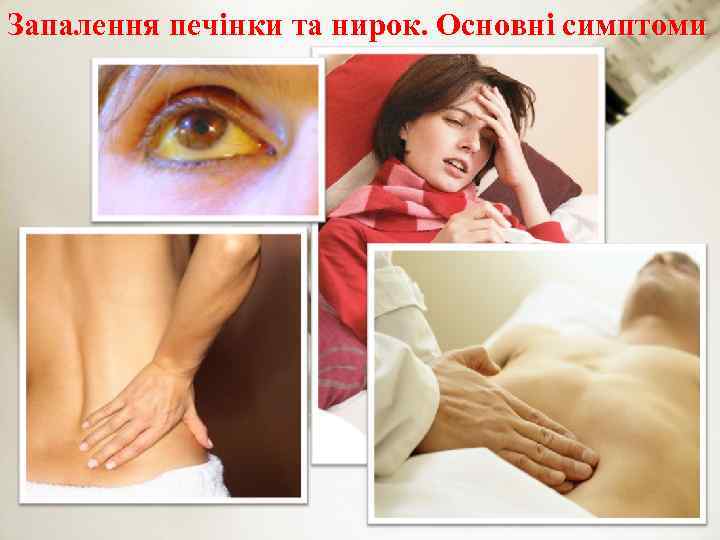 Запалення печінки та нирок. Основні симптоми 