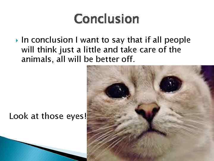 Conclusion In conclusion I want to say that if all people will think just