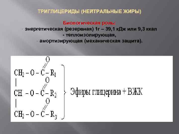 ТРИГЛИЦЕРИДЫ (НЕЙТРАЛЬНЫЕ ЖИРЫ) Биологическая роль: - энергетическая (резервная) 1 г – 39, 1 к.