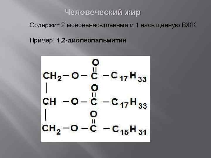 Схема образования жиров