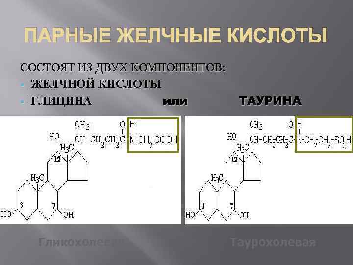 ПАРНЫЕ ЖЕЛЧНЫЕ КИСЛОТЫ СОСТОЯТ ИЗ ДВУХ КОМПОНЕНТОВ: ЖЕЛЧНОЙ КИСЛОТЫ ГЛИЦИНА или Гликохолевая ТАУРИНА Таурохолевая