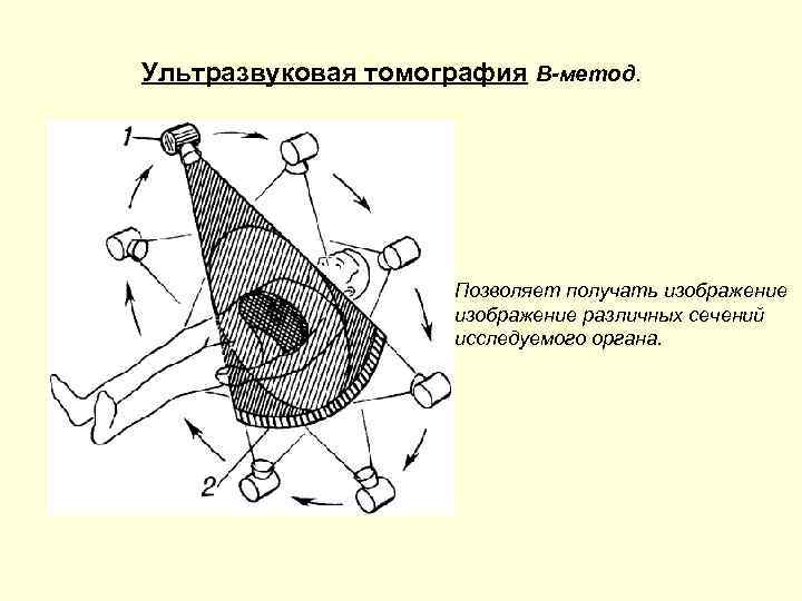 Изображение ограниченного участка исследуемого органа