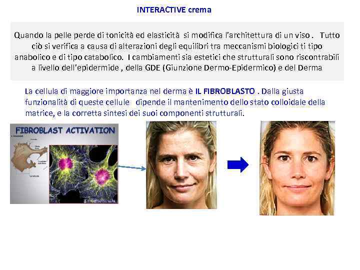 INTERACTIVE crema Quando la pelle perde di tonicità ed elasticità si modifica l’architettura di