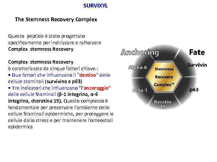 SURVIXYL The Stemness Recovery Complex Questo peptide è stato progettato specificamente per indirizzare e