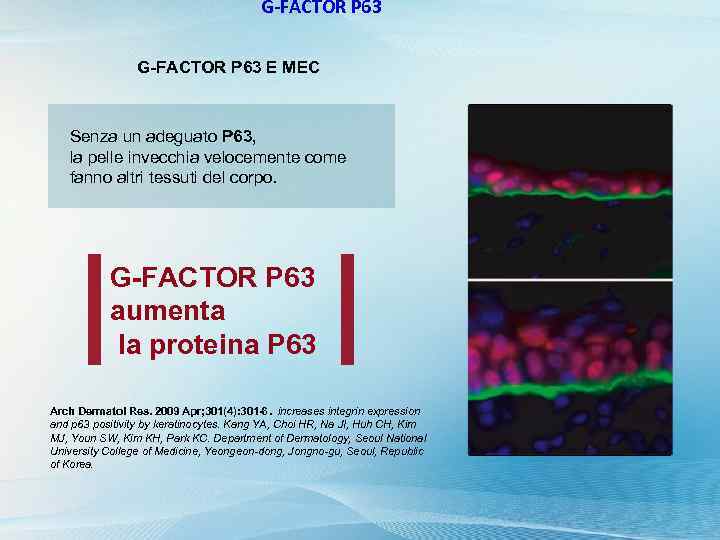 G-FACTOR P 63 E MEC Senza un adeguato P 63, la pelle invecchia velocemente