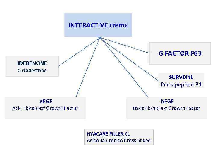 INTERACTIVE crema G FACTOR P 63 IDEBENONE Ciclodestrine a. FGF Acid Fibroblast Growth Factor