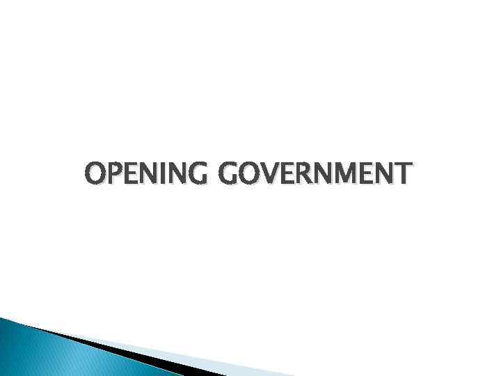 OPENING GOVERNMENT 