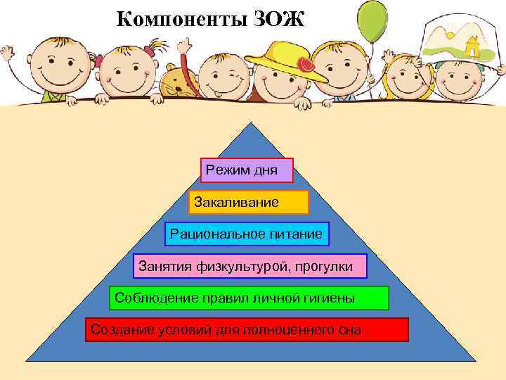 Компоненты ЗОЖ Режим дня Закаливание Рациональное питание Занятия физкультурой, прогулки Соблюдение правил личной гигиены