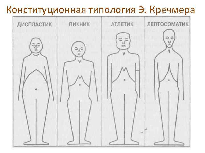 Конституционная типология Э. Кречмера 