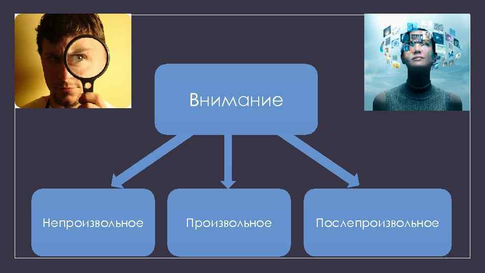 Произвольное внимание картинки для презентации