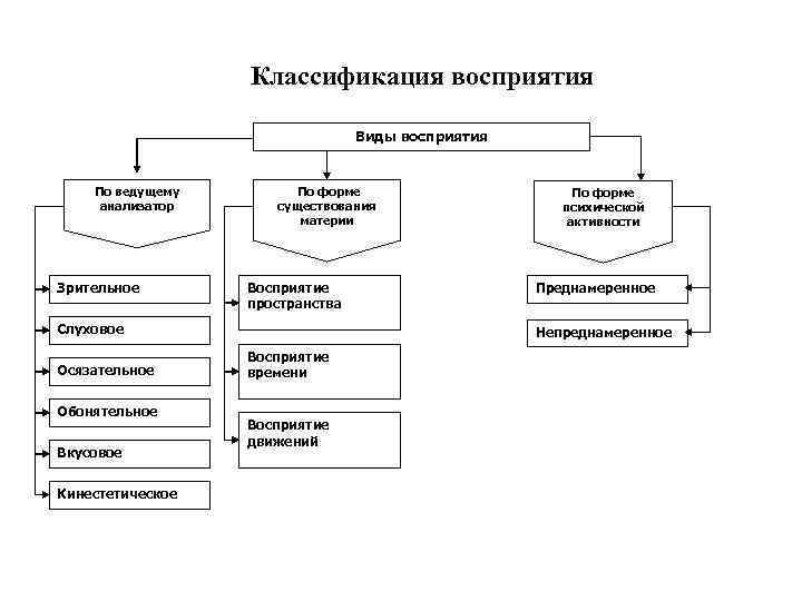 Классификация восприятия Виды восприятия По ведущему анализатор Зрительное По форме существования материи Восприятие пространства