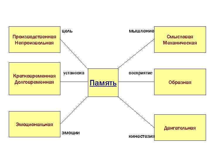 Производственная Непроизвольная Кратковременная Долговременная цель мышление установка восприятие Память Образная Эмоциональная эмоции Смысловая Механическая